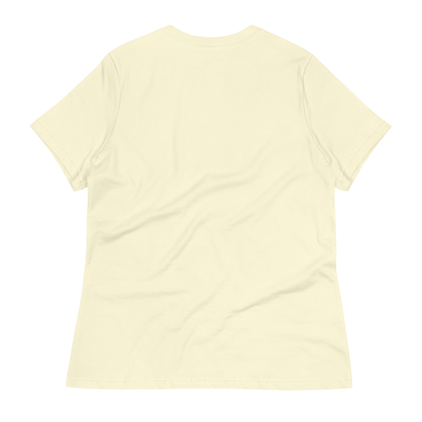 North-South Migrating Geese Women's Relaxed Tee