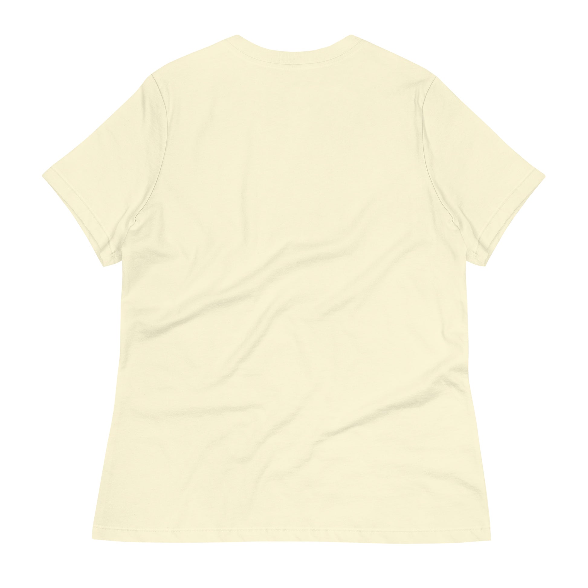 North-South Migrating Geese Women's Relaxed Tee